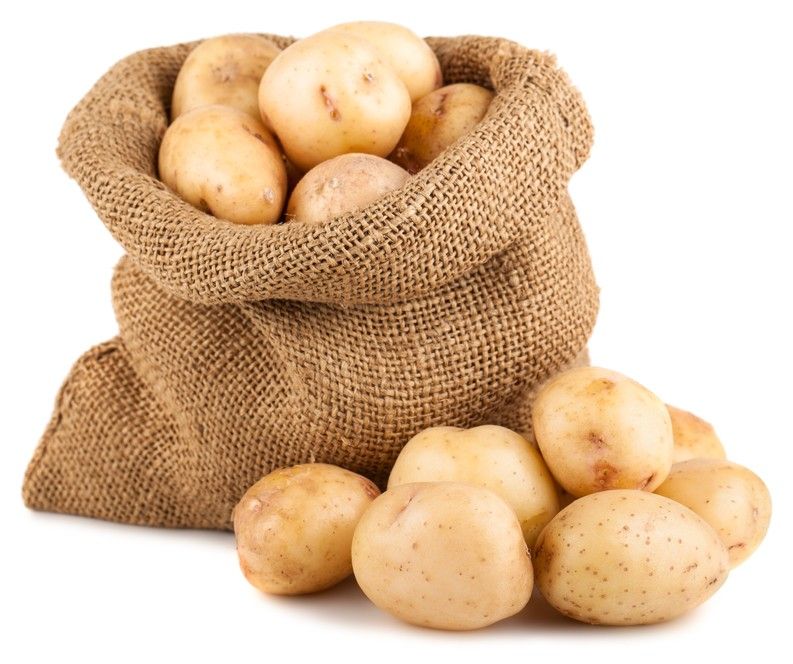 Brambory Jihlava (pěstování brambor, chorobám škůdcům, dobou zrání, dobu zrání) Brambory Jihlava
